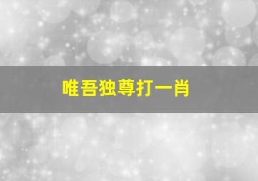 唯吾独尊打一肖