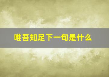 唯吾知足下一句是什么