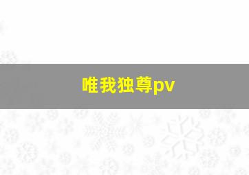 唯我独尊pv