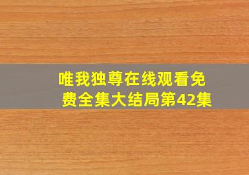 唯我独尊在线观看免费全集大结局第42集