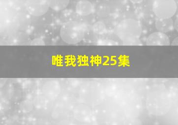 唯我独神25集