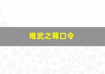 唯武之尊口令