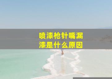 喷漆枪针嘴漏漆是什么原因