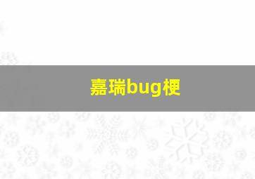 嘉瑞bug梗