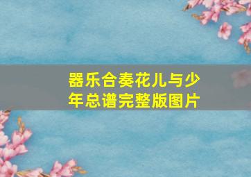 器乐合奏花儿与少年总谱完整版图片