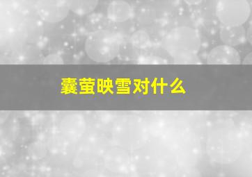 囊萤映雪对什么