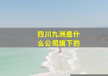 四川九洲是什么公司旗下的