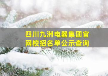 四川九洲电器集团官网校招名单公示查询