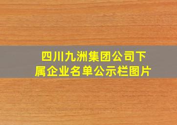 四川九洲集团公司下属企业名单公示栏图片