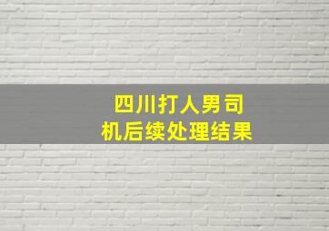 四川打人男司机后续处理结果