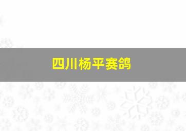 四川杨平赛鸽