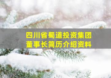 四川省蜀道投资集团董事长简历介绍资料