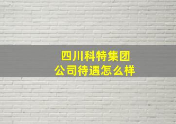 四川科特集团公司待遇怎么样