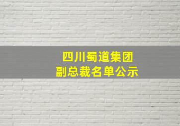 四川蜀道集团副总裁名单公示