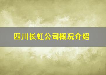 四川长虹公司概况介绍