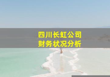 四川长虹公司财务状况分析