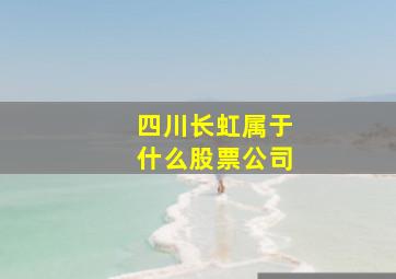 四川长虹属于什么股票公司