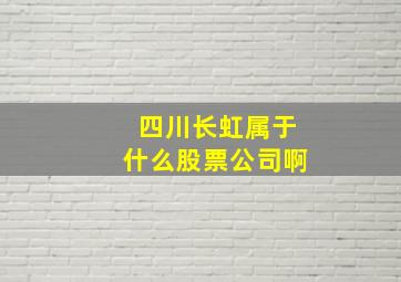 四川长虹属于什么股票公司啊