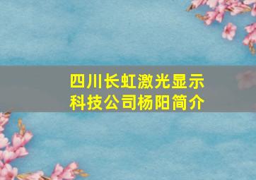 四川长虹激光显示科技公司杨阳简介