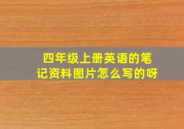 四年级上册英语的笔记资料图片怎么写的呀