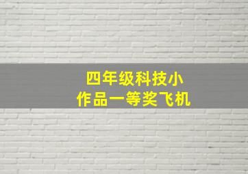 四年级科技小作品一等奖飞机