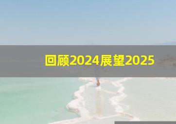 回顾2024展望2025