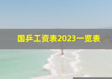 国乒工资表2023一览表