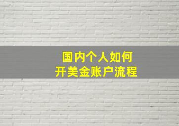 国内个人如何开美金账户流程