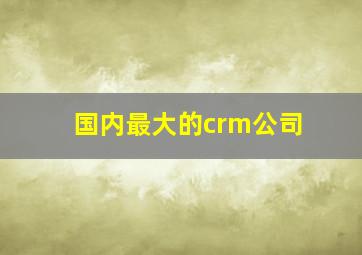 国内最大的crm公司