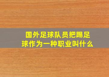 国外足球队员把踢足球作为一种职业叫什么