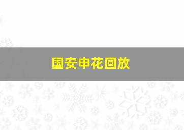 国安申花回放