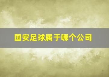 国安足球属于哪个公司