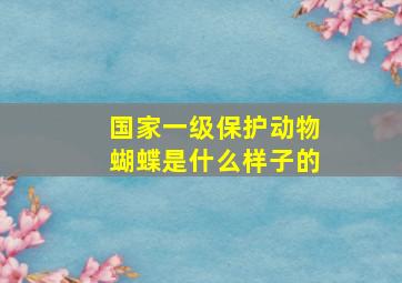 国家一级保护动物蝴蝶是什么样子的