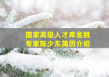 国家高级人才库金融专家陈少东简历介绍