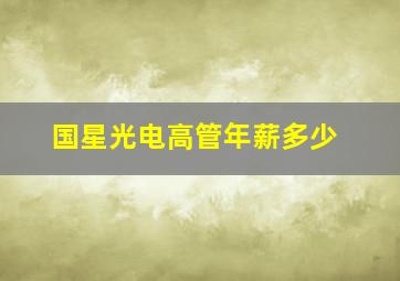 国星光电高管年薪多少