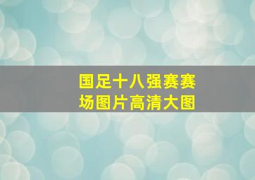 国足十八强赛赛场图片高清大图