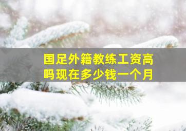 国足外籍教练工资高吗现在多少钱一个月