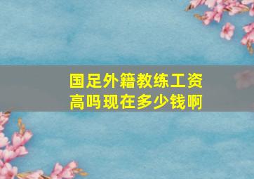 国足外籍教练工资高吗现在多少钱啊