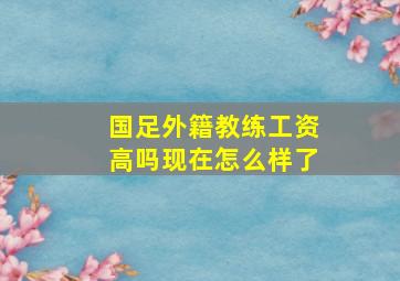 国足外籍教练工资高吗现在怎么样了