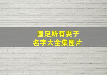 国足所有妻子名字大全集图片