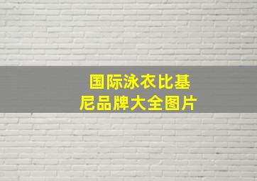 国际泳衣比基尼品牌大全图片