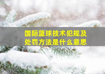 国际篮球技术犯规及处罚方法是什么意思