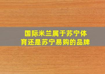 国际米兰属于苏宁体育还是苏宁易购的品牌