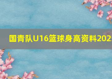 国青队U16篮球身高资料2025