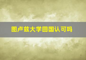 图卢兹大学回国认可吗