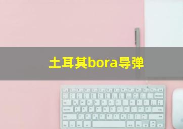 土耳其bora导弹