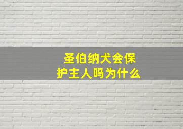 圣伯纳犬会保护主人吗为什么