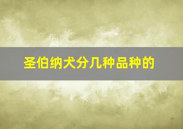 圣伯纳犬分几种品种的