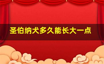 圣伯纳犬多久能长大一点