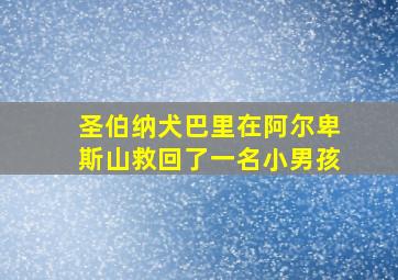 圣伯纳犬巴里在阿尔卑斯山救回了一名小男孩